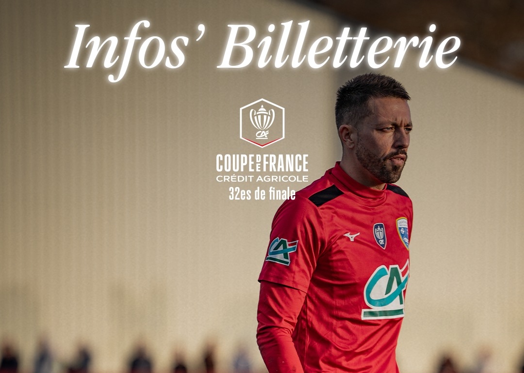 Fanion Lille / Rouen - Coupe De France 2025 (32ème De Finale) - Tissu Neuf
